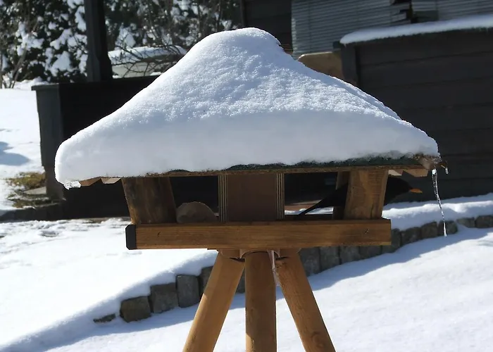 فندق Thaler Rietz